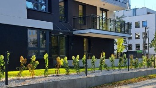 TALAROWA 3, BUDOWA 10.jpg